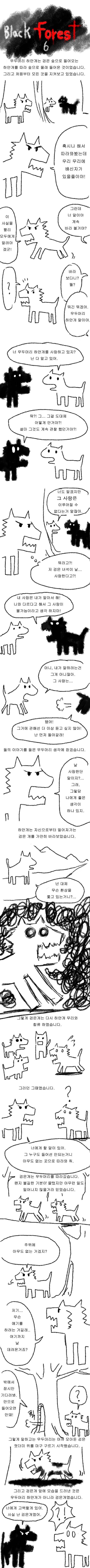  블랙 포레스트 | 인스티즈