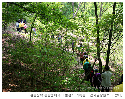 깊은산속옹달샘 이미지