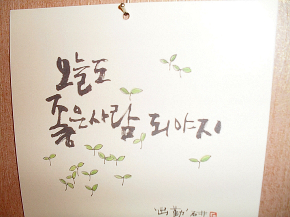 다이야 이미지