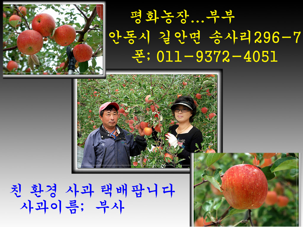 평화농장 이미지