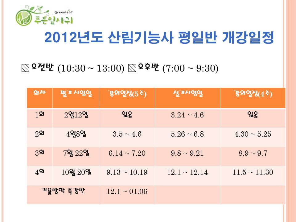 푸른잎사귀 이미지