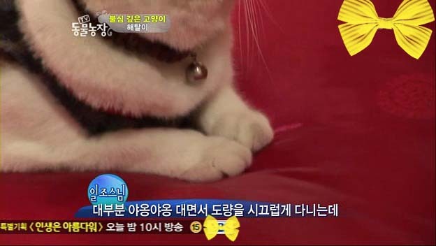 상귀농장 이미지