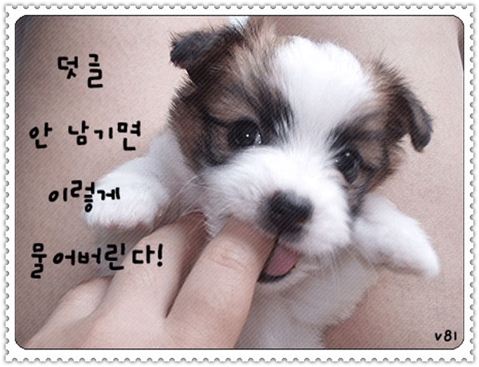 앙 이미지