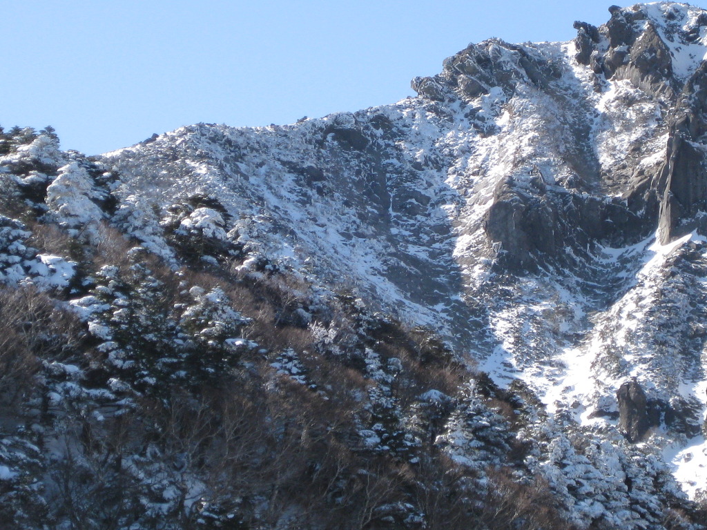 한라1950 이미지