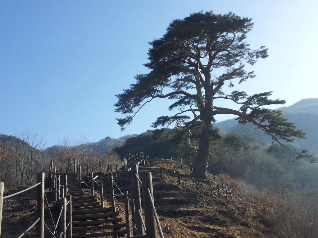 고향어탕국수 이미지