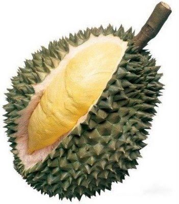 신기야채 이미지