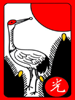 광 이미지