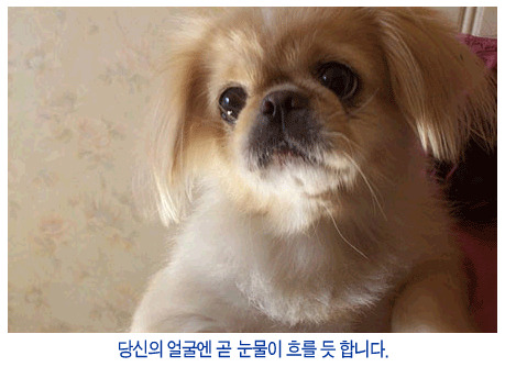 훅 이미지