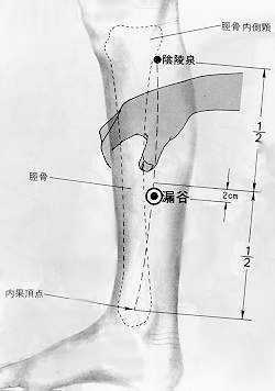 태음 이미지