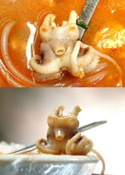 털털 이미지