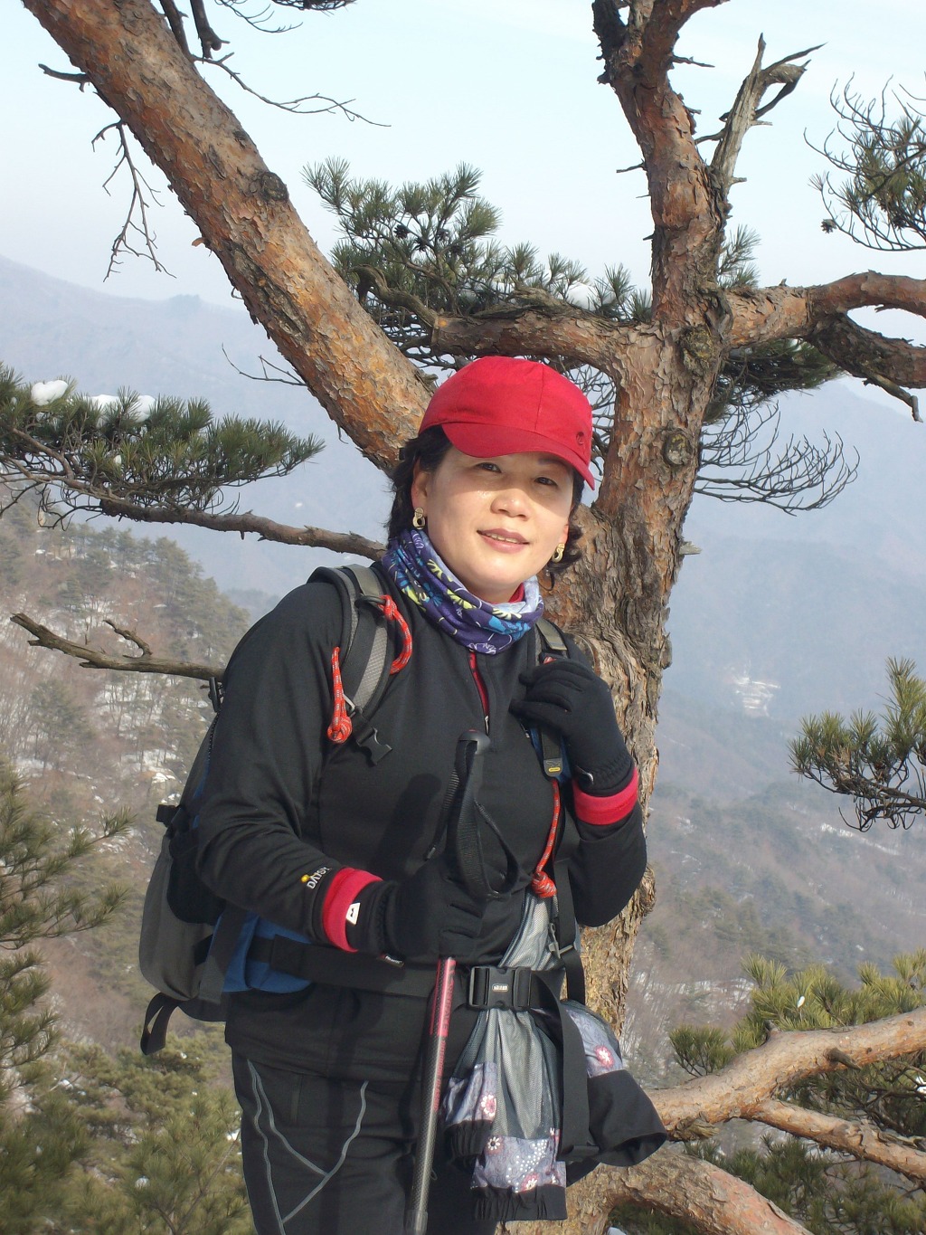 삼삼오 이미지
