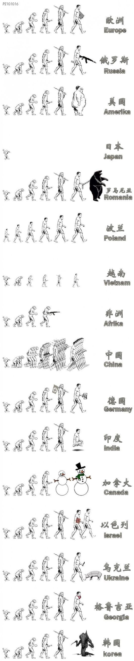 국가별 진화 과정..