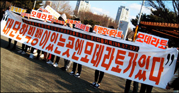 모데라토 이미지