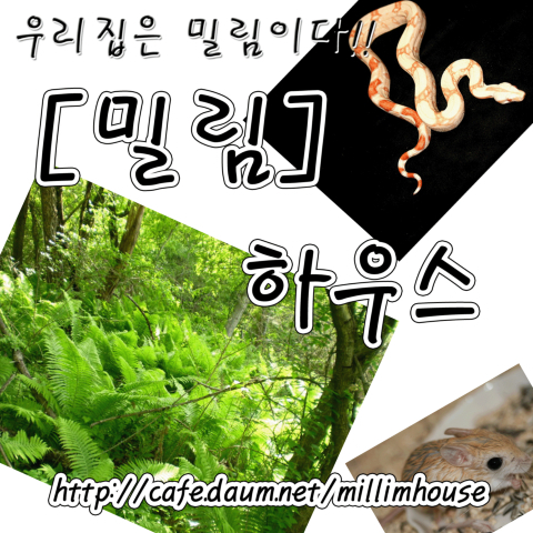 청소하다 이미지