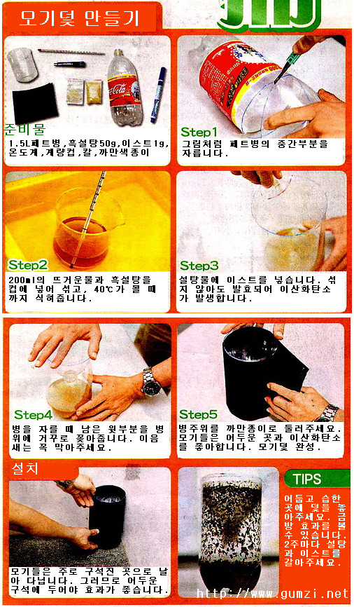 더펌 이미지