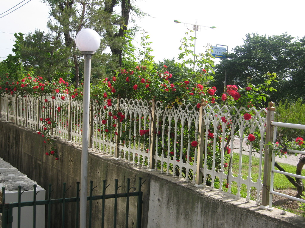 1576D2174A1205061AC829