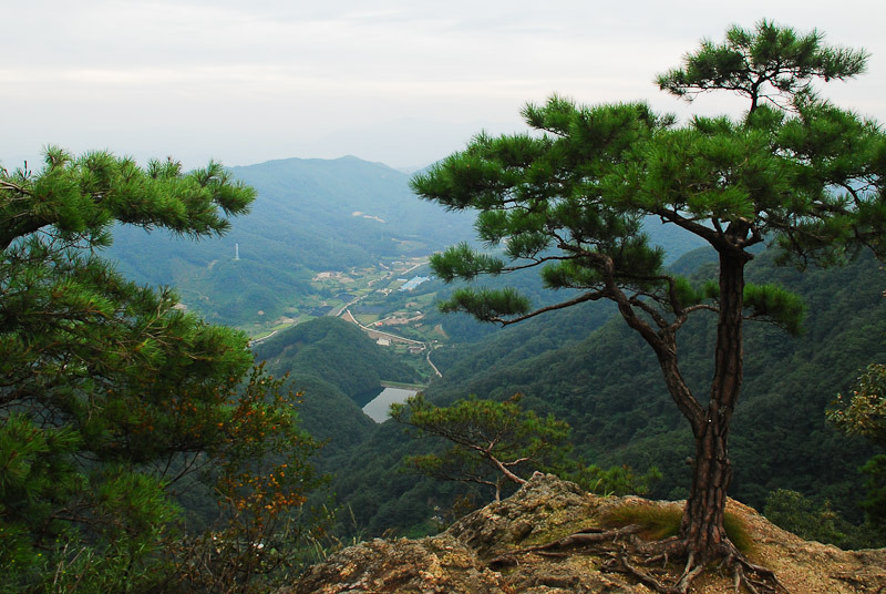 바랑재 이미지