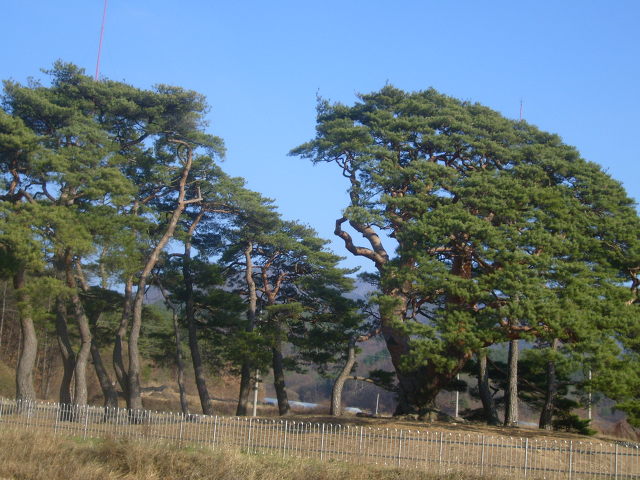 삼송마을 이미지