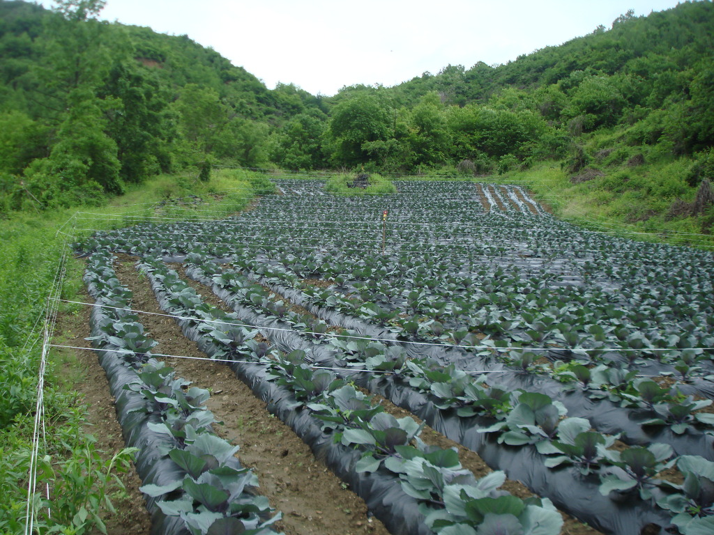 충주IC 이미지