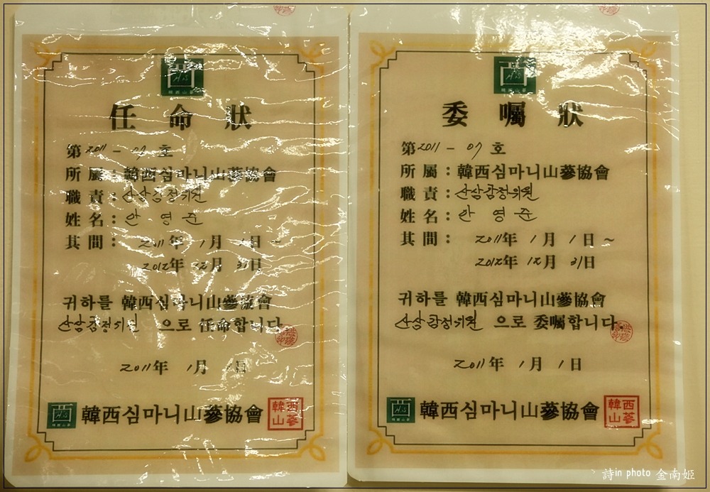 영초산삼 이미지