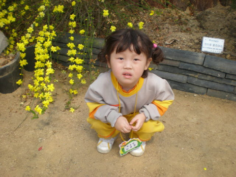 햇살동 이미지