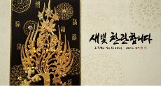 새빛상사 이미지