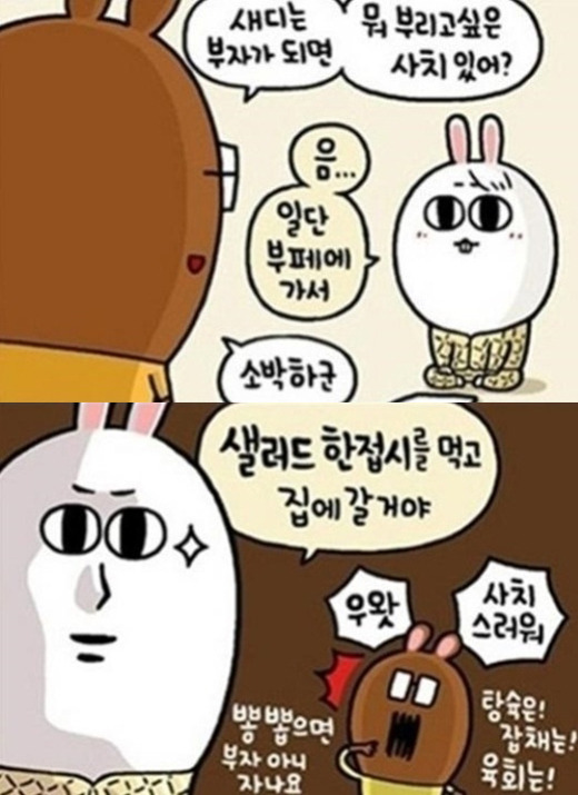 사치 이미지