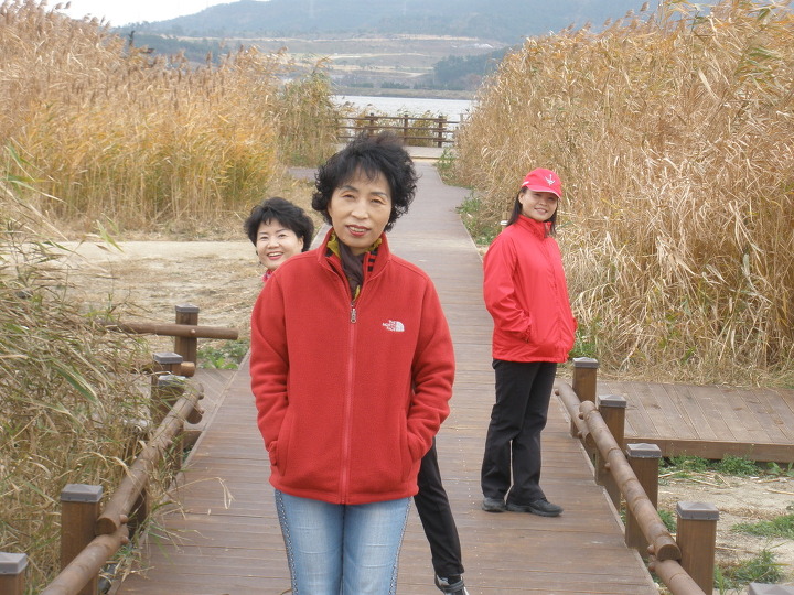서천꽃돼지 이미지