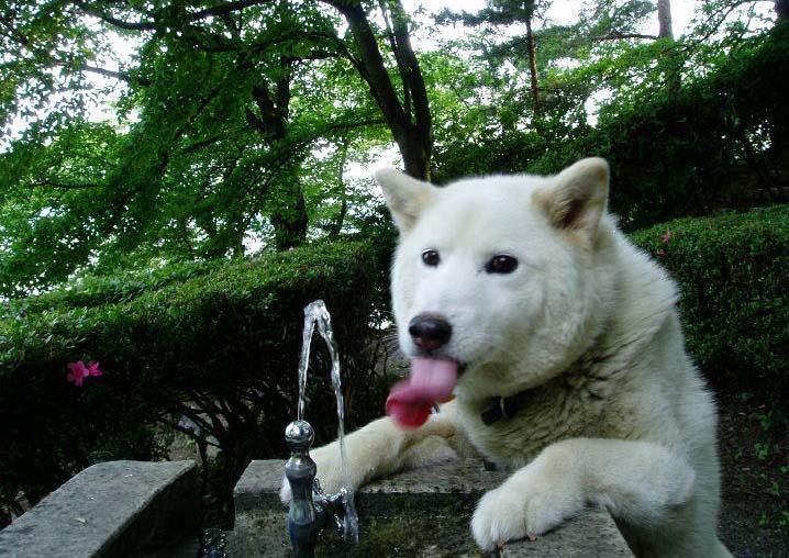 더어 이미지