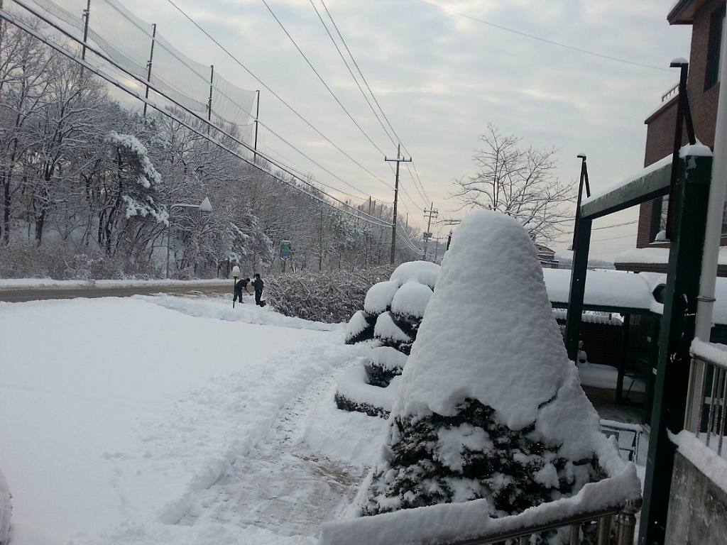 18cm 이미지