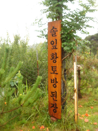솔잎황토방된장 이미지