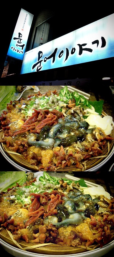 문어이야기 이미지