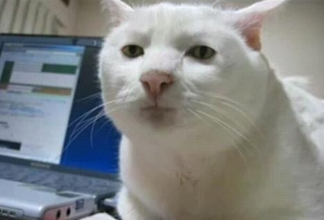 비지엠 이미지