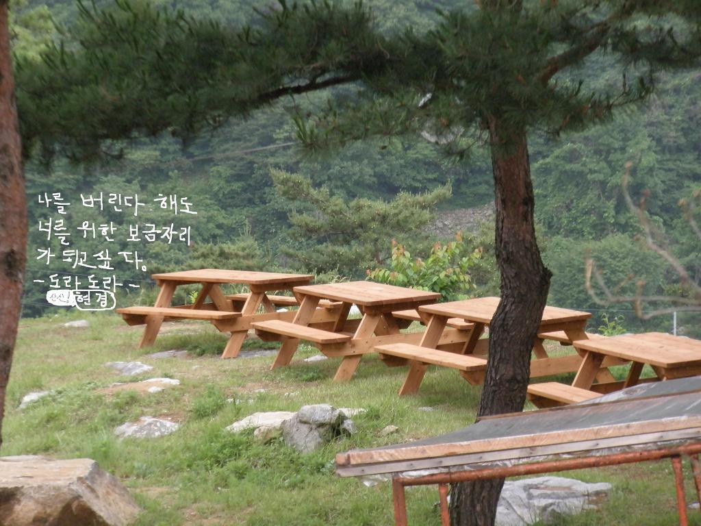 도라도라 이미지