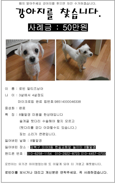 로빈생활 이미지