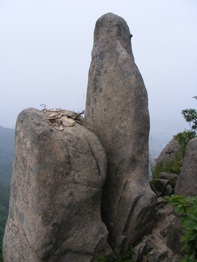 화림 이미지