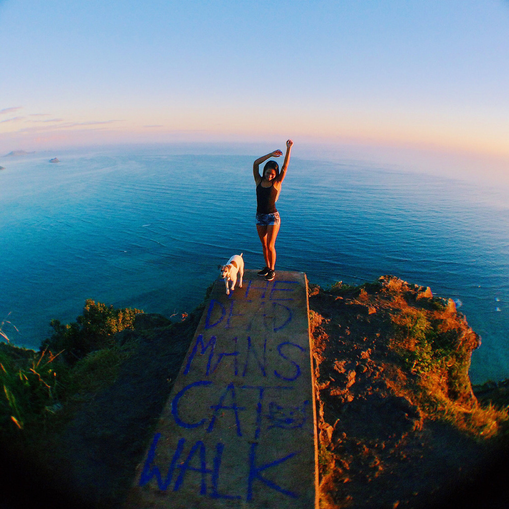 다들 신혼여행갈때 하와이 하와이 하는 이유 | 인스티즈