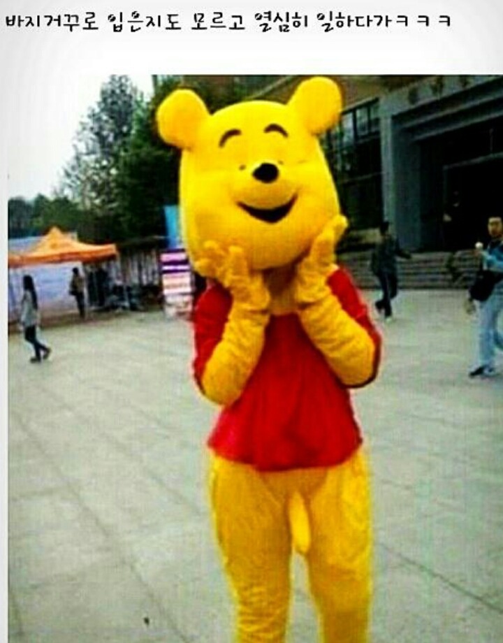 알바 이미지