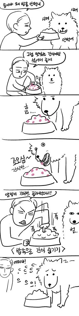 강아지 편식할때 공감.jpg | 인스티즈