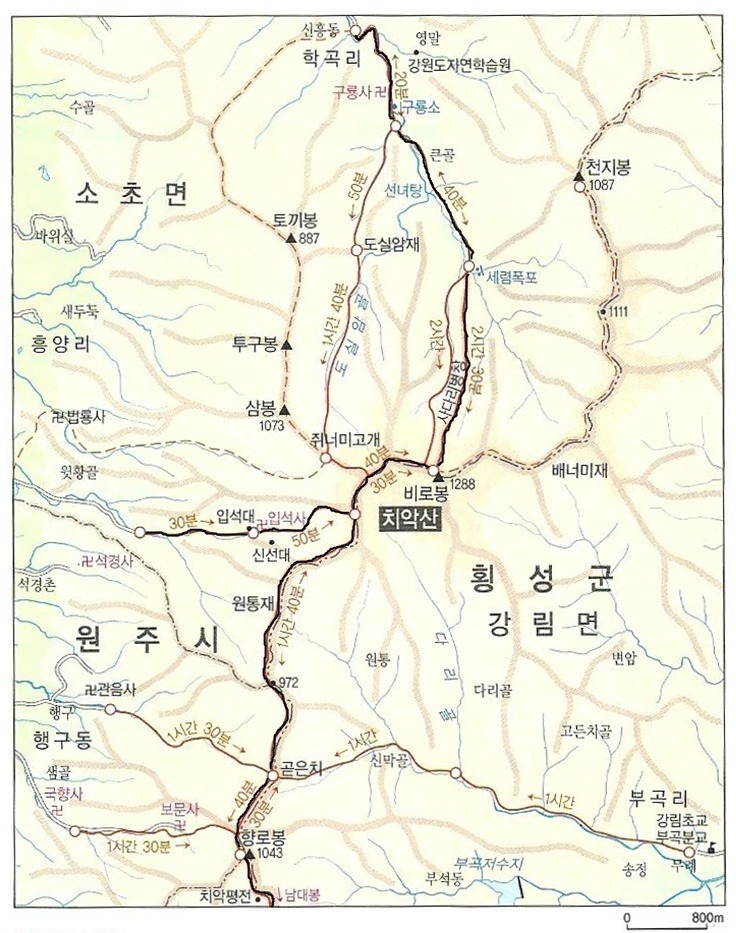 지구촌관광여행사 이미지