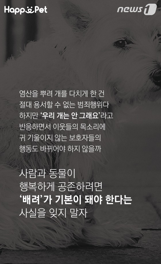 흑석동 강아지 염산테러사건의 전말 | 인스티즈