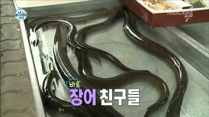 [나혼자산다] 털털한 매력의 이수경 | 인스티즈