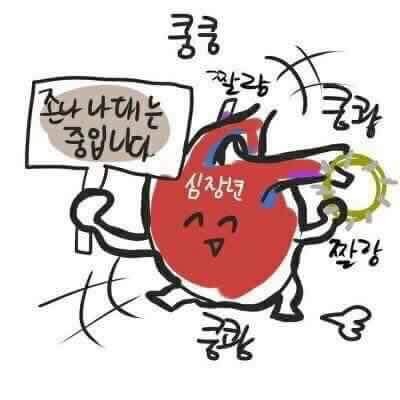 귀여운 고슴이들 | 인스티즈