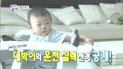 다음주 운전하는 대박이.gif | 인스티즈