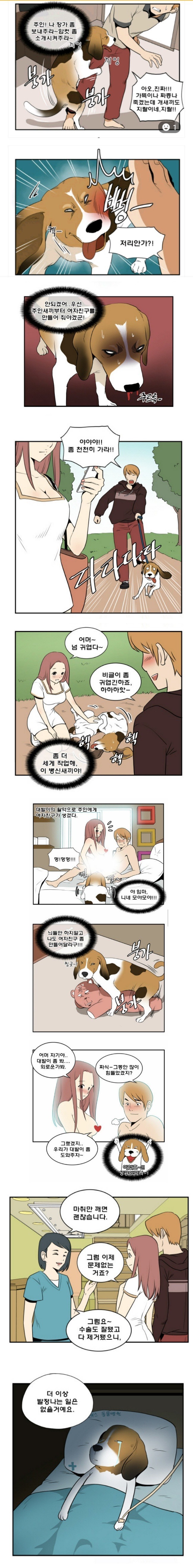 개보다 못한 놈 (혈압주의) 수정 | 인스티즈