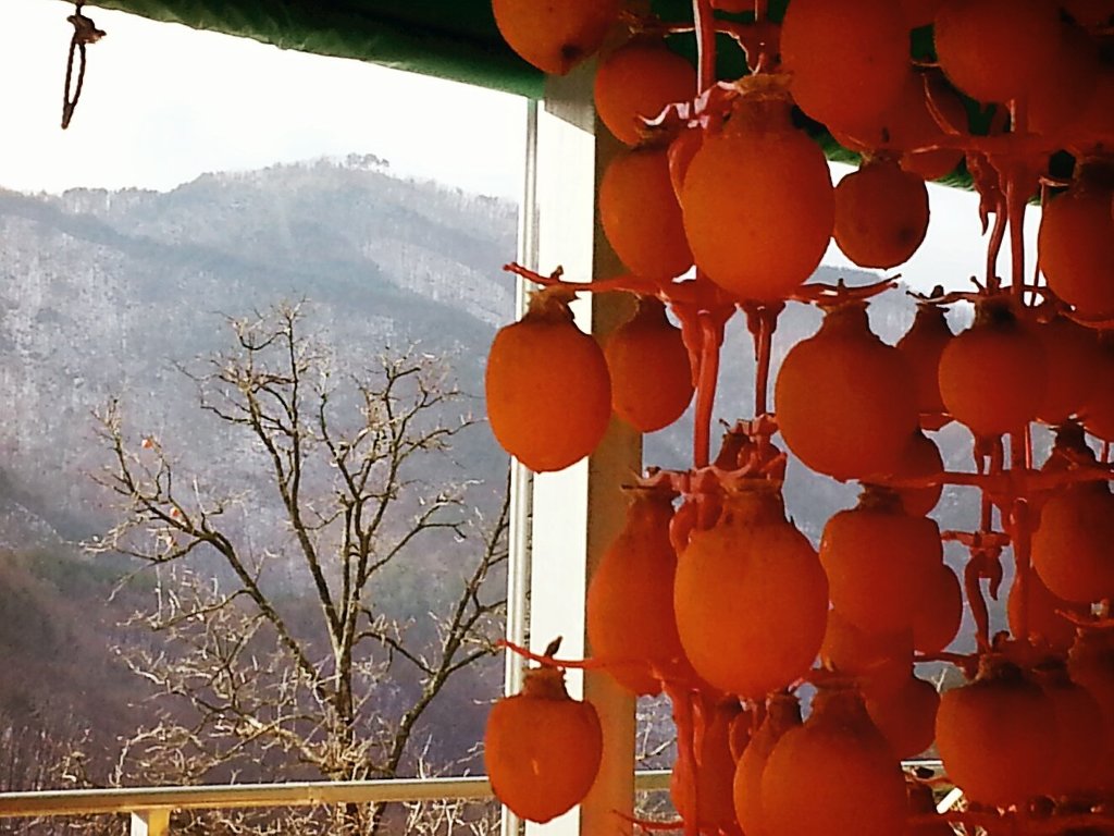 육군종합행정학교 이미지