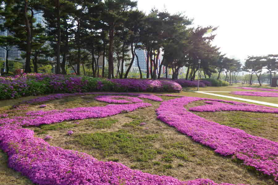 광주화원 이미지