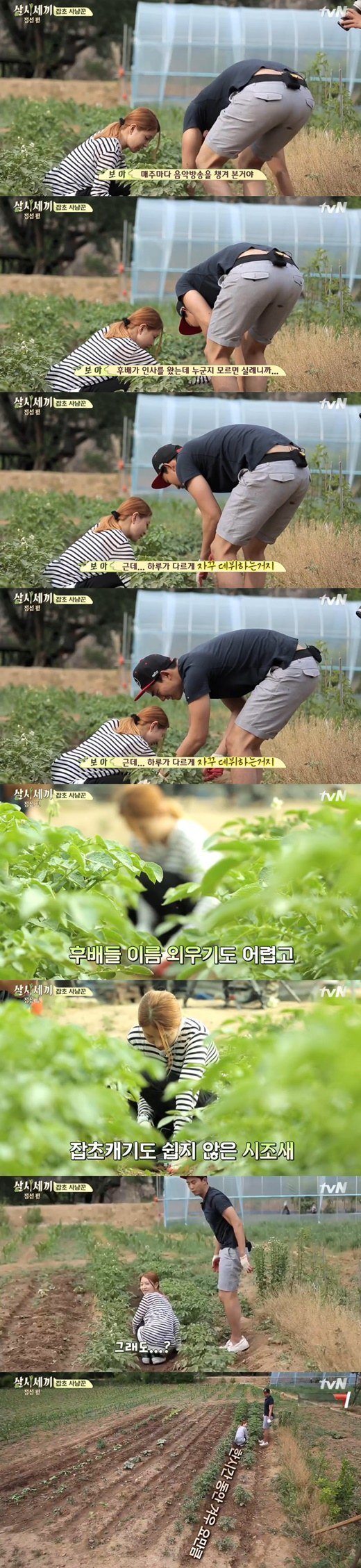 보아가 매주 음악방송 꼬박꼬박 챙겨 본 이유.jpg | 인스티즈