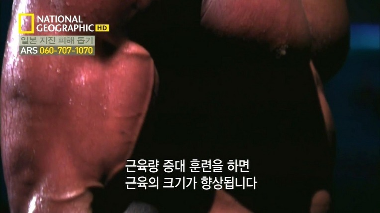 박태환때문에 작성하는 스테로이드의 효과 | 인스티즈