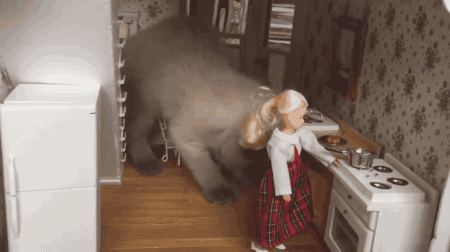 짐승에게 공격 당하는 백인여성.gif (혐오주의) | 인스티즈